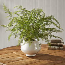 Load image into Gallery viewer, Soft Fern Drop in 36”