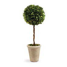 Load image into Gallery viewer, BOXWOOD SINGLE SPHERE TOPIARY 23.25"