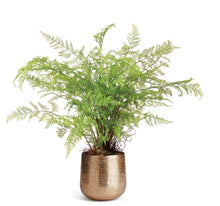 Load image into Gallery viewer, EMBERLYNN CACHEPOT