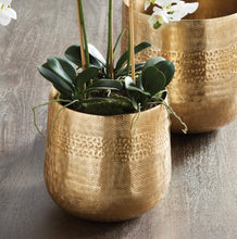 Load image into Gallery viewer, EMBERLYNN CACHEPOT