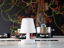 Load image into Gallery viewer, Fatboy® Edison the Petit Table Lamp Set of 2