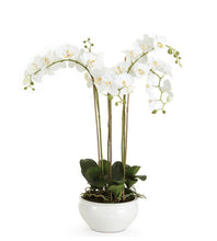 Load image into Gallery viewer, Barclay Butera Phalaenopsis in ceramic bowl
