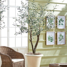 Load image into Gallery viewer, Grand Olive Tree Drop In