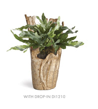 Load image into Gallery viewer, ECHEVERIA FERN DROP-IN 11.5&quot;
