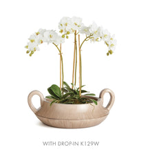 Load image into Gallery viewer, Phalaenopsis Orchid Mini Garden Drop in 16”
