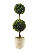 Load image into Gallery viewer, BOXWOOD DOUBLE SPHERE TOPIARY
