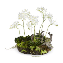 Load image into Gallery viewer, MINI DENDROBIUM WITH RUSTIC DROP-IN 16&quot;
