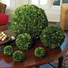 Load image into Gallery viewer, BOXWOOD BALL 16&quot;
