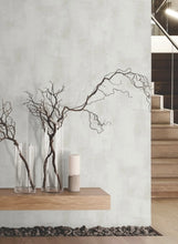 Load image into Gallery viewer, Italian Plaster Wallpaper
