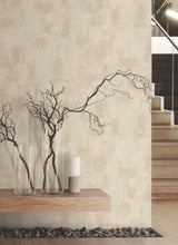Load image into Gallery viewer, Italian Plaster Wallpaper
