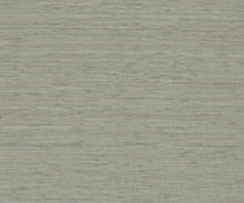 Load image into Gallery viewer, Painted Hemp Light Grey Wallpaper
