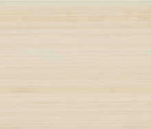 Load image into Gallery viewer, Smooth Abaca Sand Dollar Wallpaper
