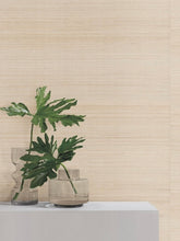 Load image into Gallery viewer, Horizon Abaca Shell Wallpaper
