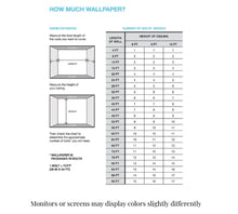 Load image into Gallery viewer, Maguey Sisal Charcoal Wallpaper
