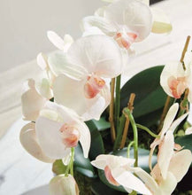 Load image into Gallery viewer, Phalaenopsis Orchid Bowl Drop-In 18.5”
