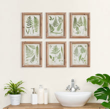 Load image into Gallery viewer, ASSORTED FROND STUDY PETITE, SET OF 6
