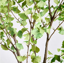 Load image into Gallery viewer, Ginkgo Tree Drop in 8’
