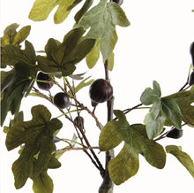 Load image into Gallery viewer, Fig tree with figs potted  DROP-IN 34&quot;
