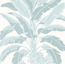 Load image into Gallery viewer, BANANA TREE
