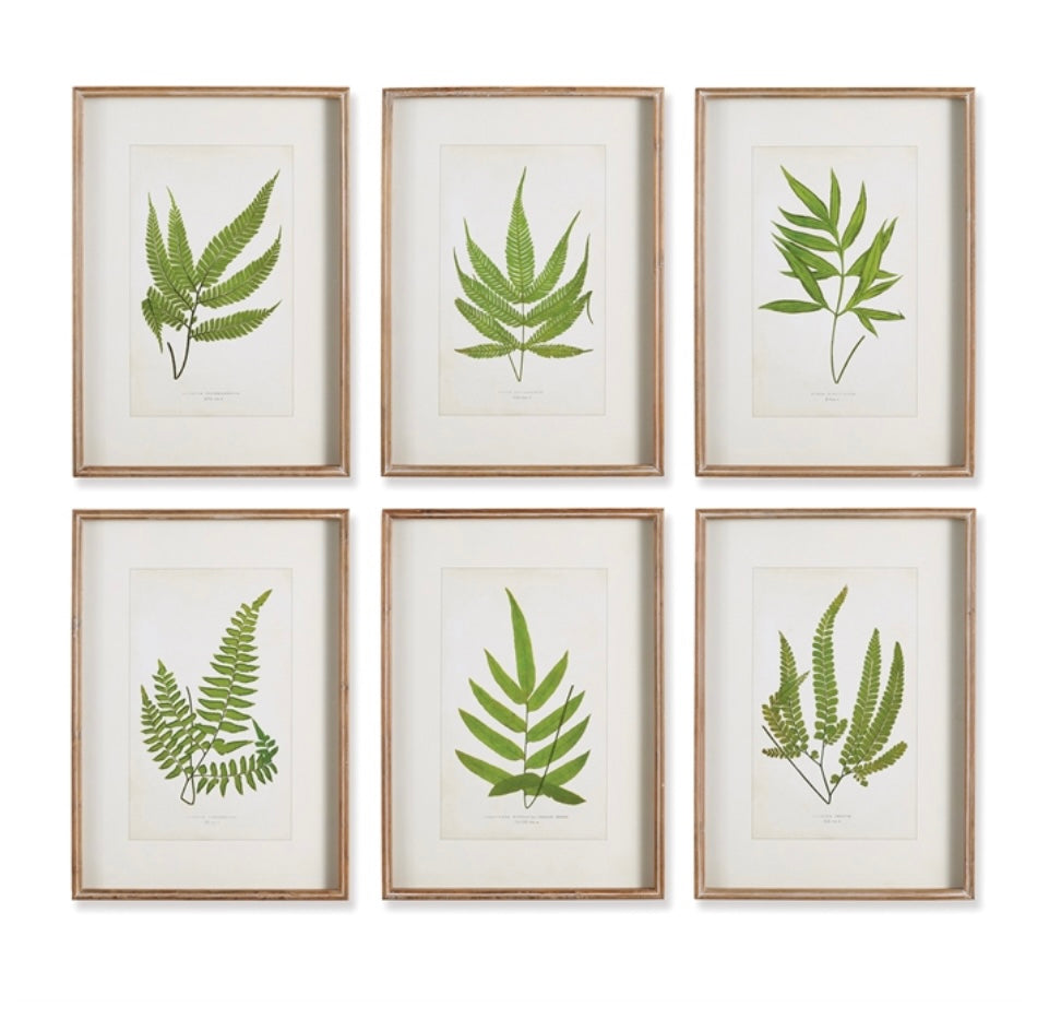 FOREST GREENERY PRINTS, SET OF 6