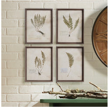 Load image into Gallery viewer, PETITE FROND PRINTS, SET OF 4
