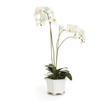 Load image into Gallery viewer, BARCLAY BUTERA PHALAENOPSIS IN CERAMIC BOWL
