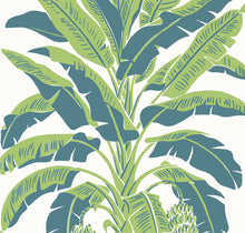 Load image into Gallery viewer, BANANA TREE
