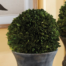 Load image into Gallery viewer, BOXWOOD BALL 8&quot; 7600PG 8 x 8 x 8
