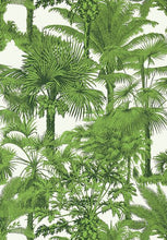 Load image into Gallery viewer, PALM BOTANICAL Wallpaper.
